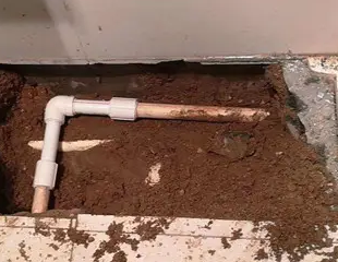 新县测漏水哪家好