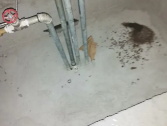 新县卫生间测漏水价格明细