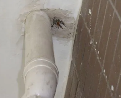 新县漏水检测哪家好